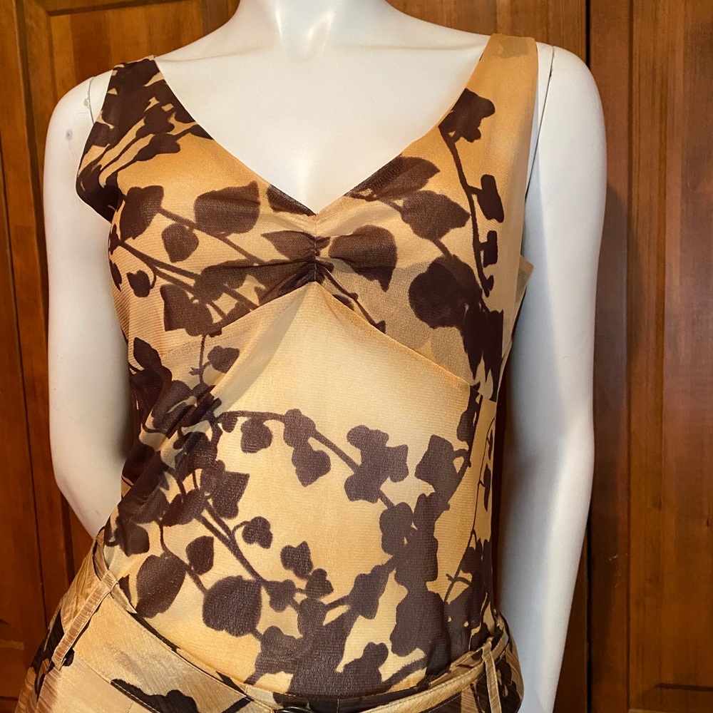 Rene Lezard Brown and Gold V-neck Top